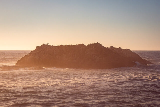 bird rock at sunset on 17 mile drive