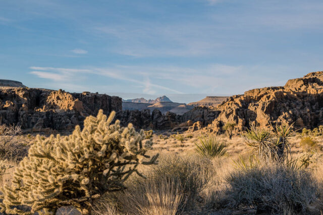 california desert landscape