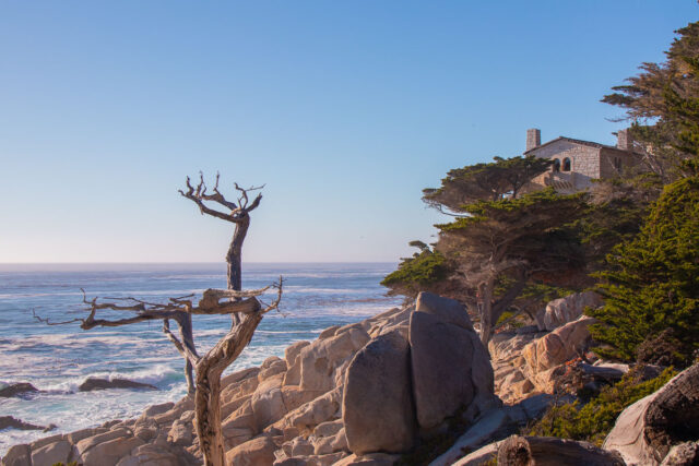 pescadero point on 17 mile drive near pebble beach