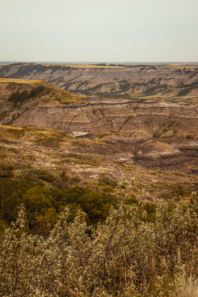 canadian badlands dry island buffalo jump in alberta