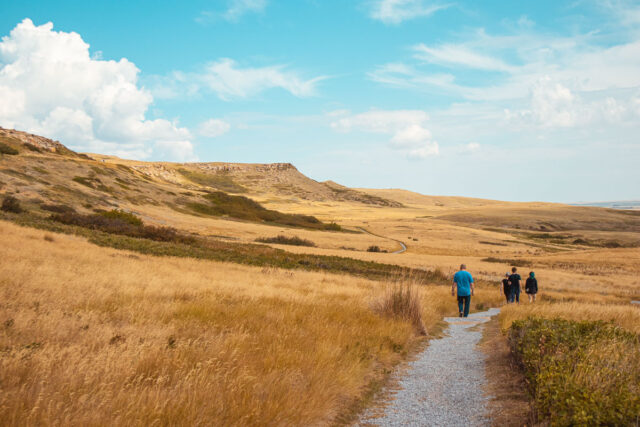 head-smashed-in buffalo jump in alberta