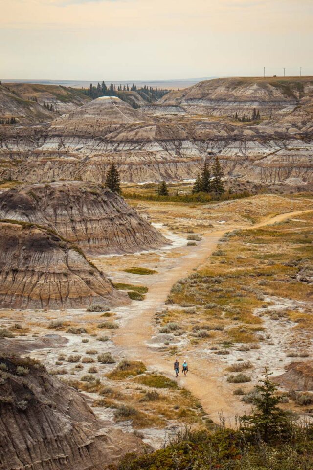 horseshoe canyon trail in drumheller