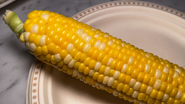 taber corn from alberta