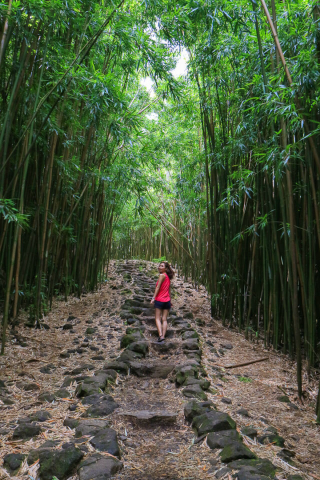 maui bamboo forest pipiwai trail must do in maui