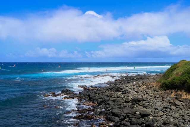 maui hawaii surfing unique things to do