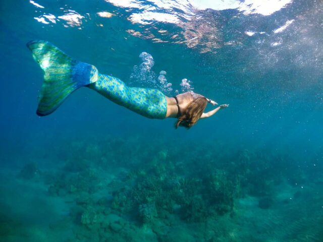 hawaii mermaid swimming lesson
