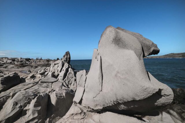 maui dragon's teeth