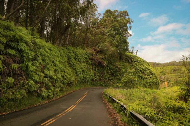 maui road to hana a must do on your maui vacation