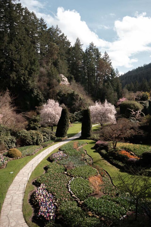 Butchart Gardens in Victoria during spring 