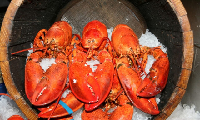 bar harbor maine lobster